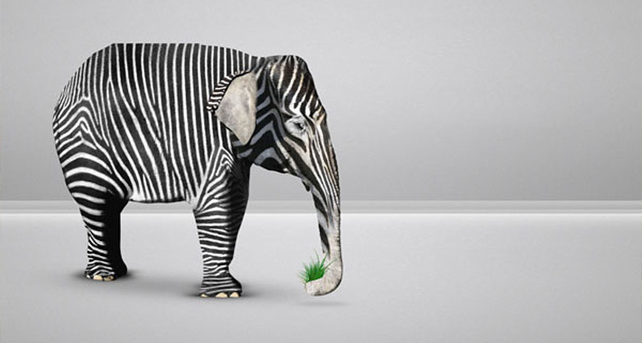 کمپین های تبلیغاتی