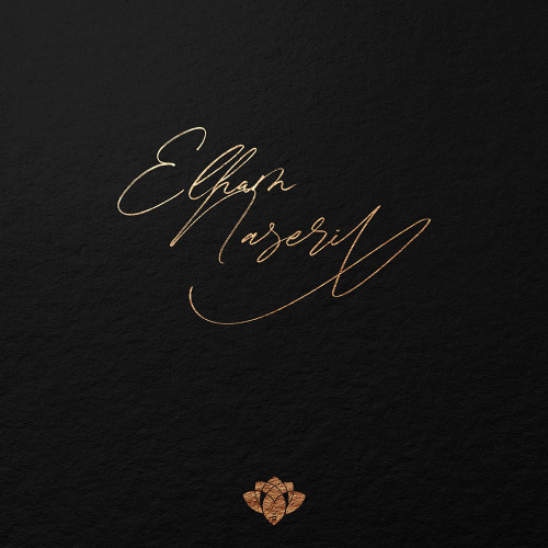 طراحی لوگو امضا الهام ناصری